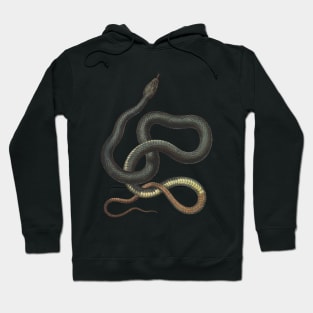 snake Hoodie